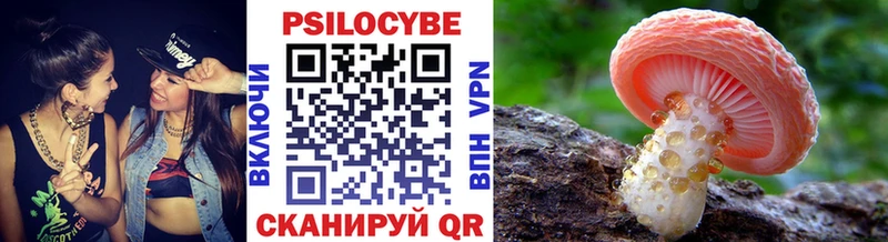 Псилоцибиновые грибы Magic Shrooms  маркетплейс телеграм  Махачкала 