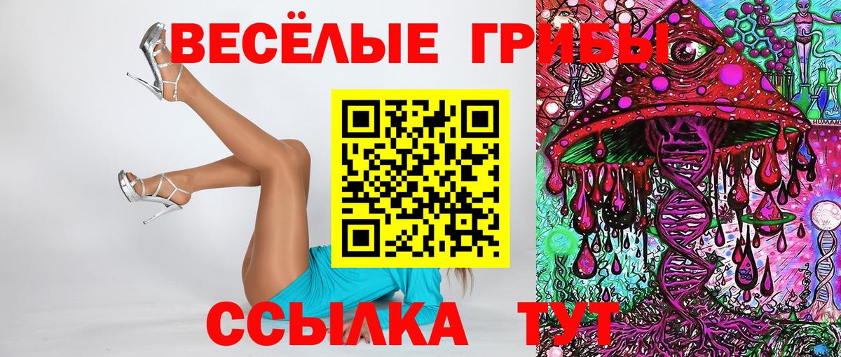 Махачкала  Псилоцибиновые грибы прущие грибы  Вход с VPN 