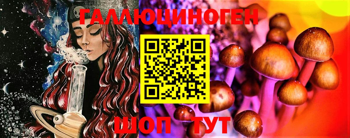 магазин    Махачкала  Галлюциногенные грибы мицелий 