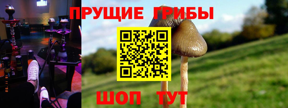 Псилоцибиновые грибы Magic Shrooms Махачкала