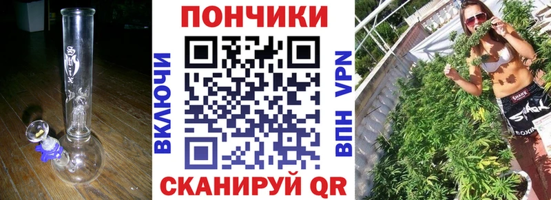 Конопля сатива  Махачкала 