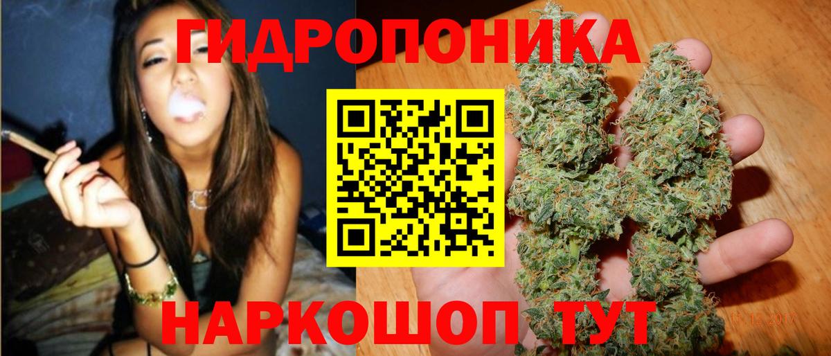 Конопля OG Kush  Махачкала  Бошки Шишки MAZAR  Каннабис индика 